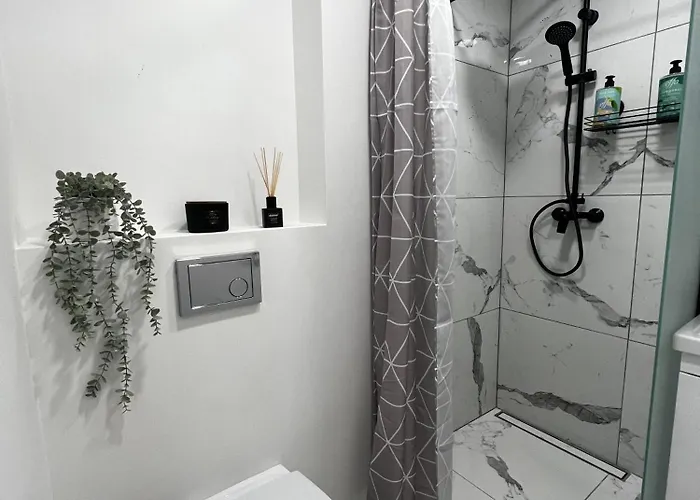 Apartment Hygge Druskininkai